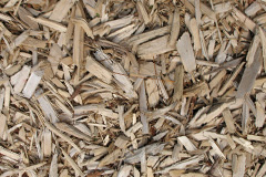biomass boilers Gelligroes