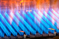 Gelligroes gas fired boilers